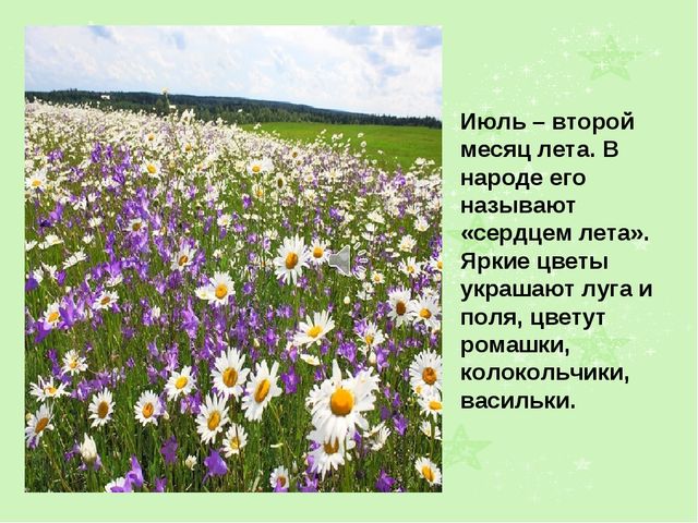 Презентация на тему "Лето"