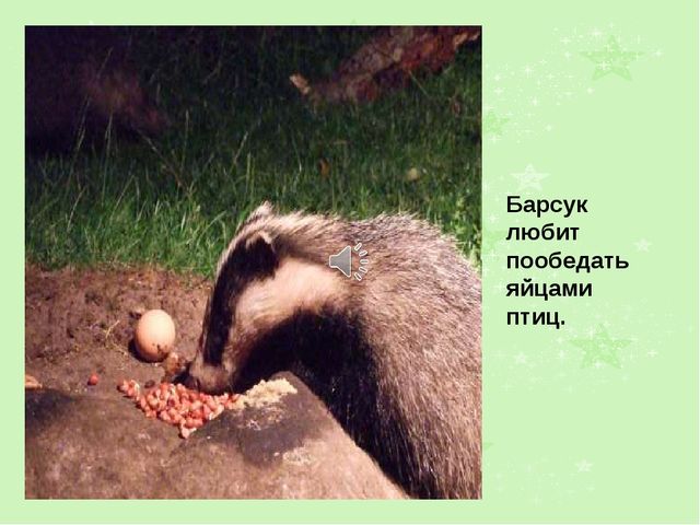 Презентация на тему "Лето"