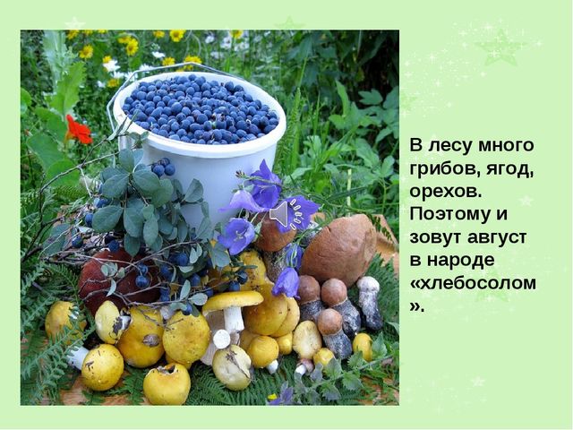 Презентация на тему "Лето"