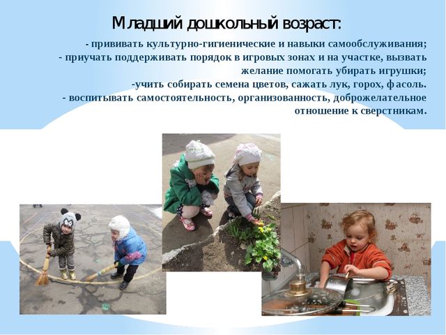 Опыт работы по трудовому воспитанию дошкольников
