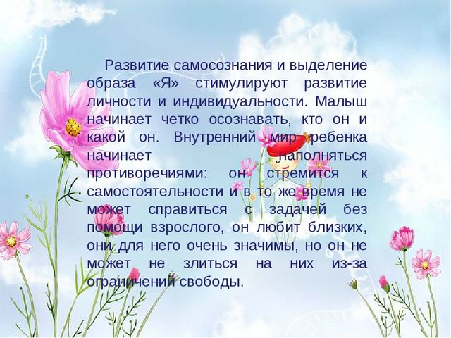 Презентация для родительского собрания во второй младшей группе " Возрастные особенности детей 3 лет"