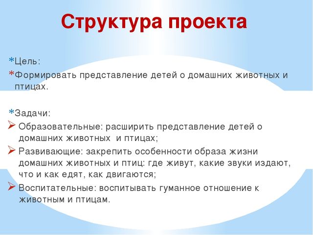 Презентация проекта "Наши соседи домашние животные"