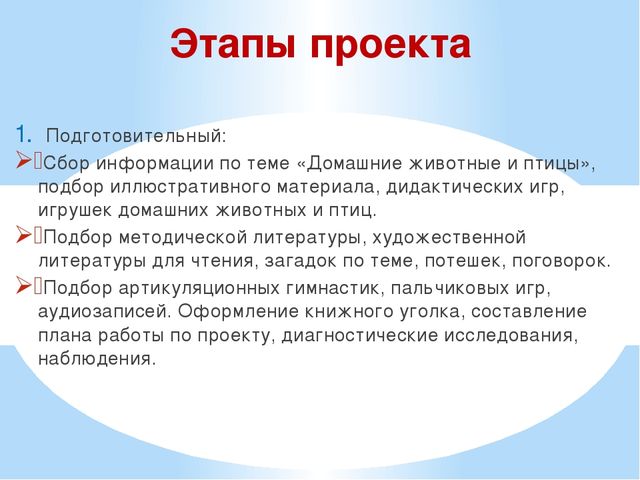 Презентация проекта "Наши соседи домашние животные"