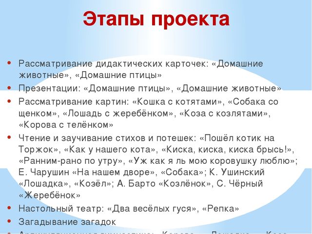 Презентация проекта "Наши соседи домашние животные"