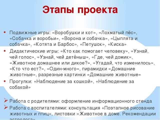 Презентация проекта "Наши соседи домашние животные"