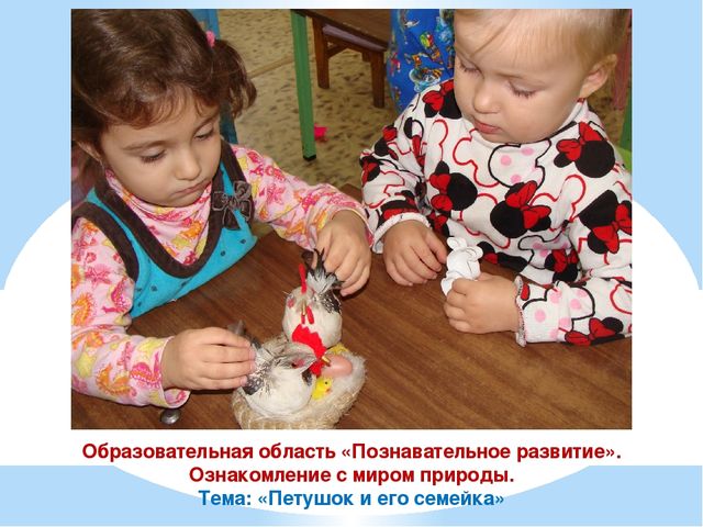 Презентация проекта "Наши соседи домашние животные"