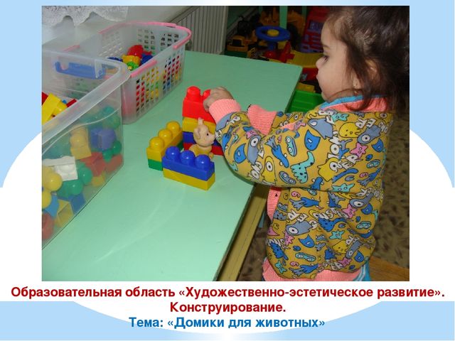 Презентация проекта "Наши соседи домашние животные"