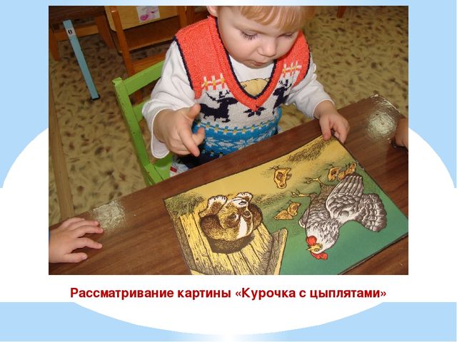 Презентация проекта "Наши соседи домашние животные"