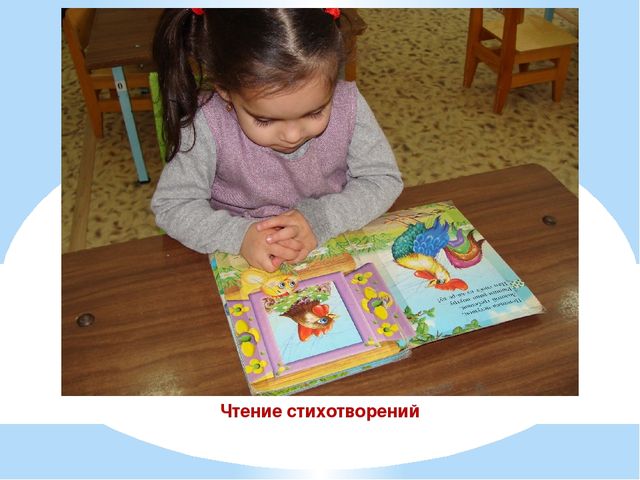 Презентация проекта "Наши соседи домашние животные"