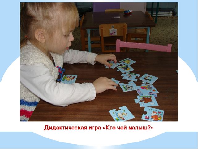 Презентация проекта "Наши соседи домашние животные"