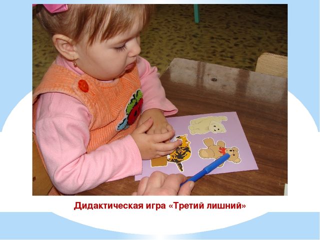 Презентация проекта "Наши соседи домашние животные"