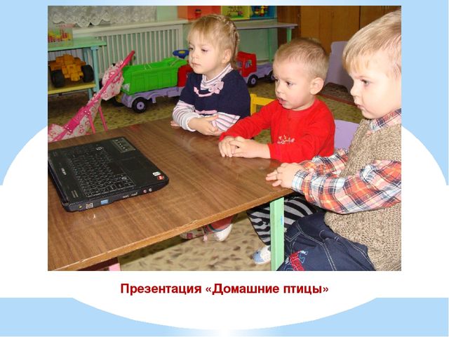 Презентация проекта "Наши соседи домашние животные"