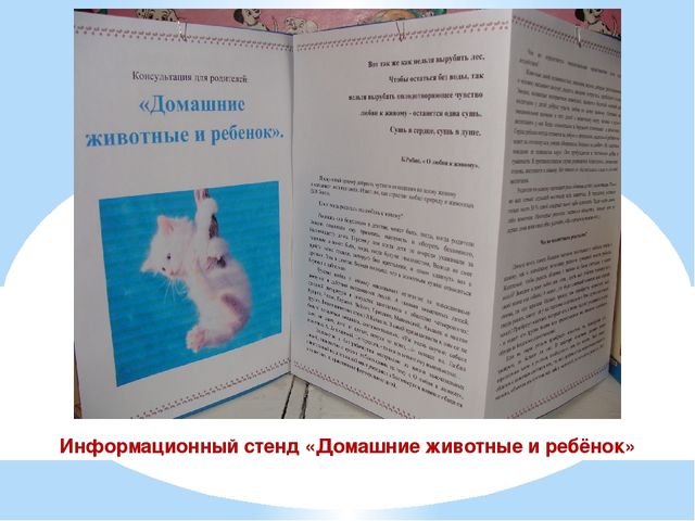 Презентация проекта "Наши соседи домашние животные"