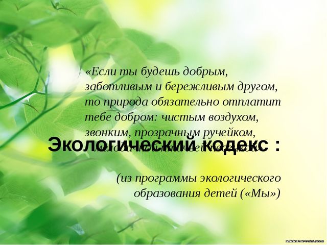 Экологический кодекс. Презентация на тему отходы в доходы. Кодекс экологический для детей\. Картины экологического кодекса).