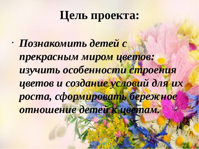 Проект Цветы вокруг нас.