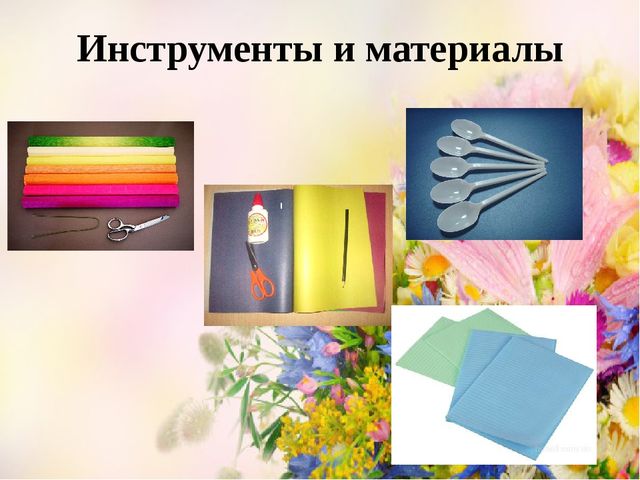 Проект Цветы вокруг нас.
