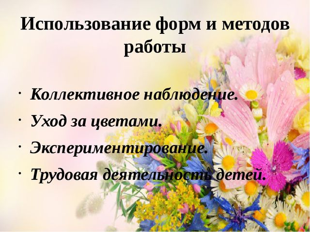 Проект Цветы вокруг нас.