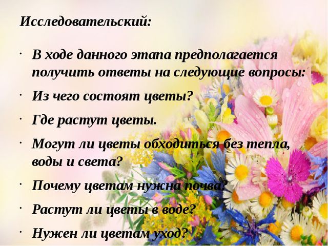 Проект Цветы вокруг нас.