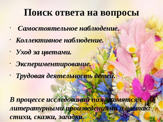 Проект Цветы вокруг нас.