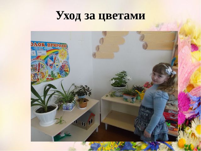 Проект Цветы вокруг нас.
