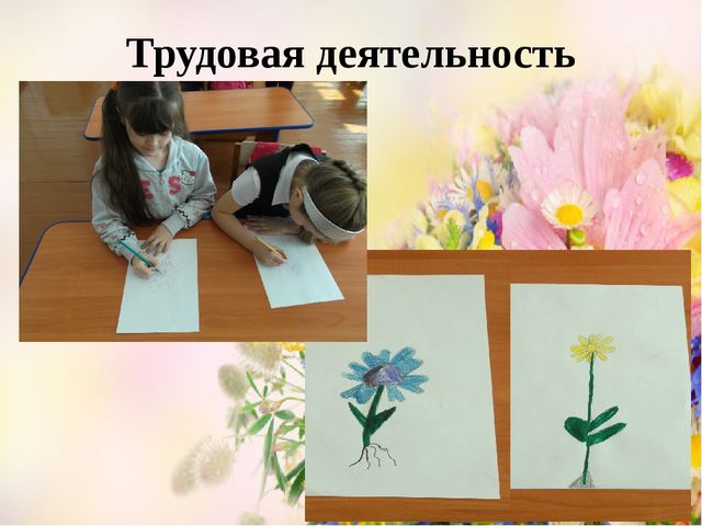 Проект Цветы вокруг нас.