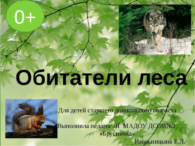 Презентация по познавательному развитию на тему "Лес" для старших дошкольников