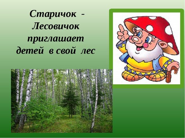 Презентация по познавательному развитию на тему "Лес" для старших дошкольников