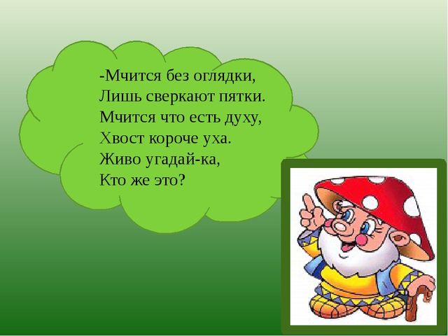 Презентация по познавательному развитию на тему "Лес" для старших дошкольников