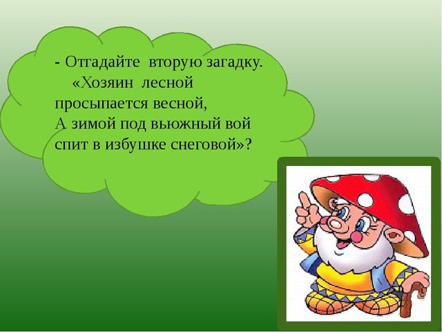 Презентация по познавательному развитию на тему "Лес" для старших дошкольников