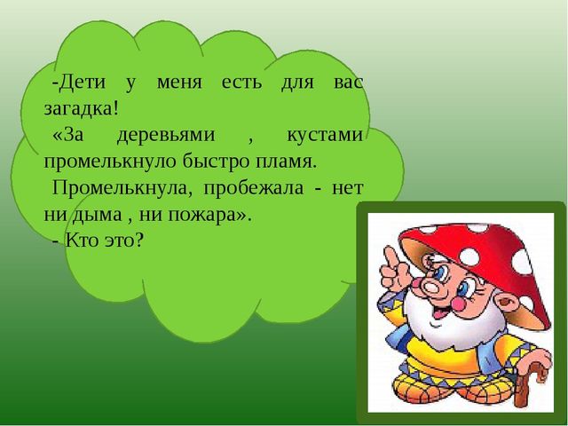 Презентация по познавательному развитию на тему "Лес" для старших дошкольников