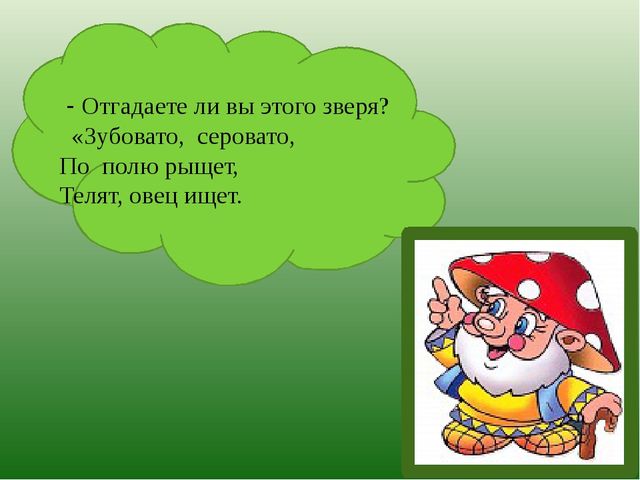 Презентация по познавательному развитию на тему "Лес" для старших дошкольников