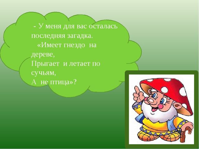 Презентация по познавательному развитию на тему "Лес" для старших дошкольников
