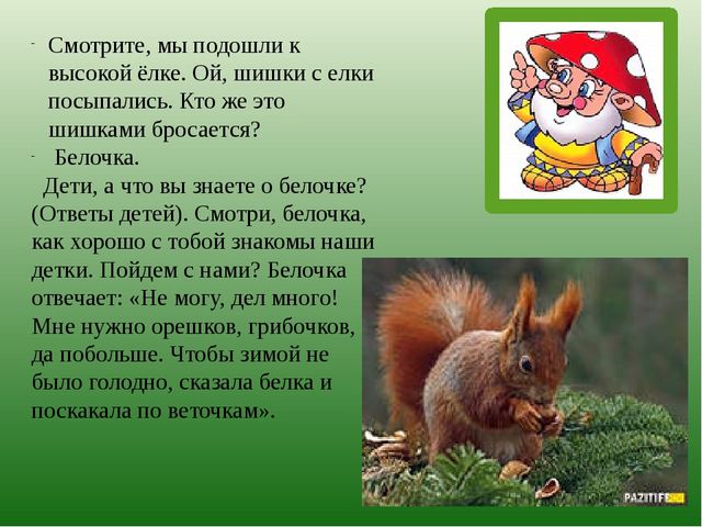 Презентация по познавательному развитию на тему "Лес" для старших дошкольников
