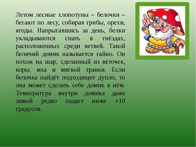 Презентация по познавательному развитию на тему "Лес" для старших дошкольников