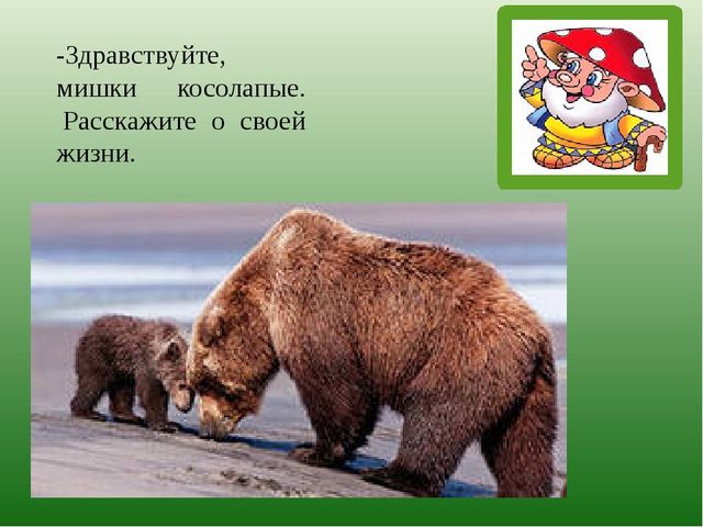 Презентация по познавательному развитию на тему "Лес" для старших дошкольников