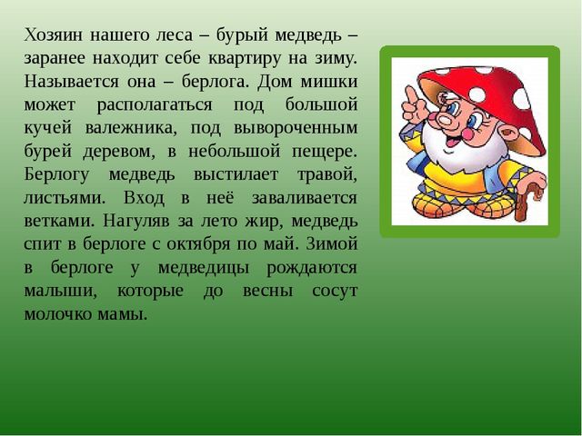 Презентация по познавательному развитию на тему "Лес" для старших дошкольников