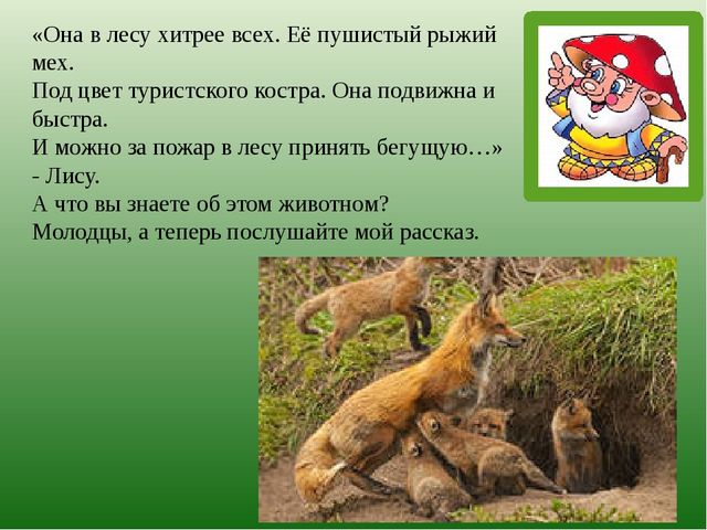 Презентация по познавательному развитию на тему "Лес" для старших дошкольников