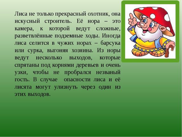 Презентация по познавательному развитию на тему "Лес" для старших дошкольников