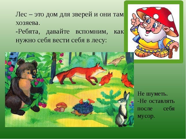 Презентация по познавательному развитию на тему "Лес" для старших дошкольников