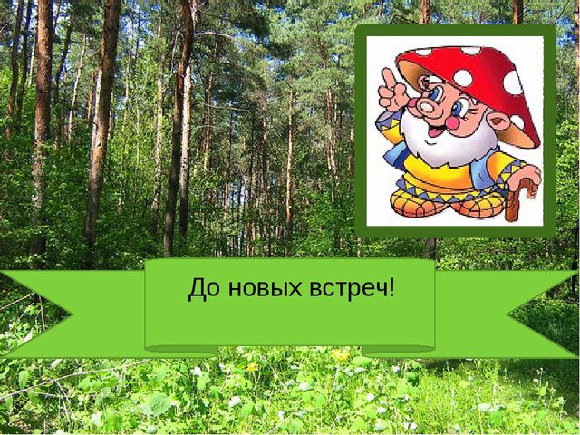 Презентация по познавательному развитию на тему "Лес" для старших дошкольников