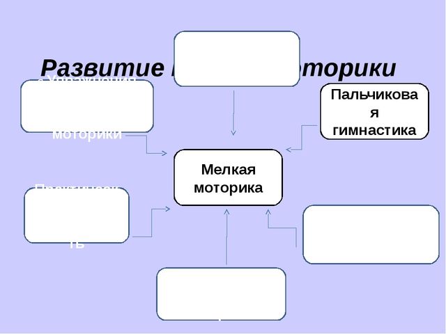 Презентация на тему "Развитие мелкой моторики у детей дошкольного возраста"