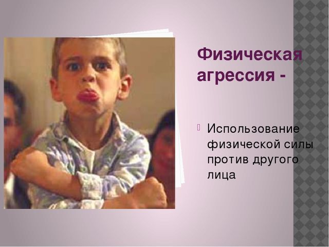 Презентация на тему: "Особенности общения детей с агрессивным поведением"