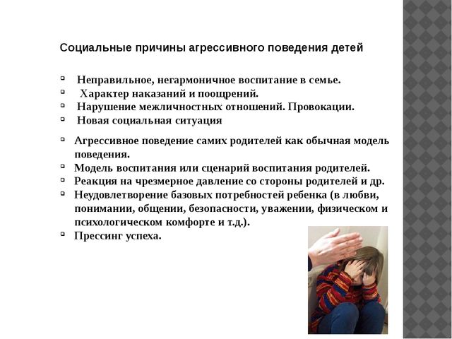 Презентация на тему: "Особенности общения детей с агрессивным поведением"
