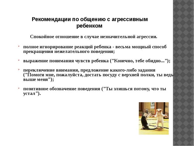 Презентация на тему: "Особенности общения детей с агрессивным поведением"