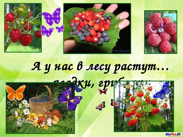 Презентация на тему: "Моя Родина- Россия"