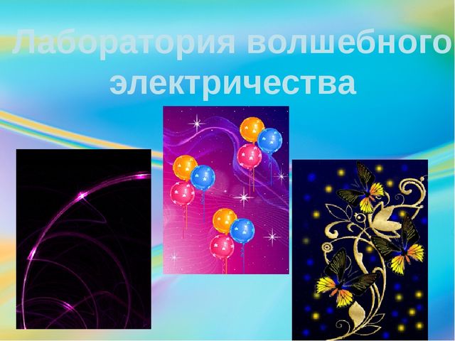 Проект волшебные семена