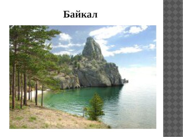 Презентация "Растительный мир Прибайкалья"