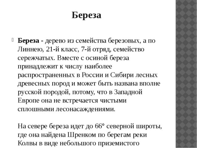 Презентация "Растительный мир Прибайкалья"