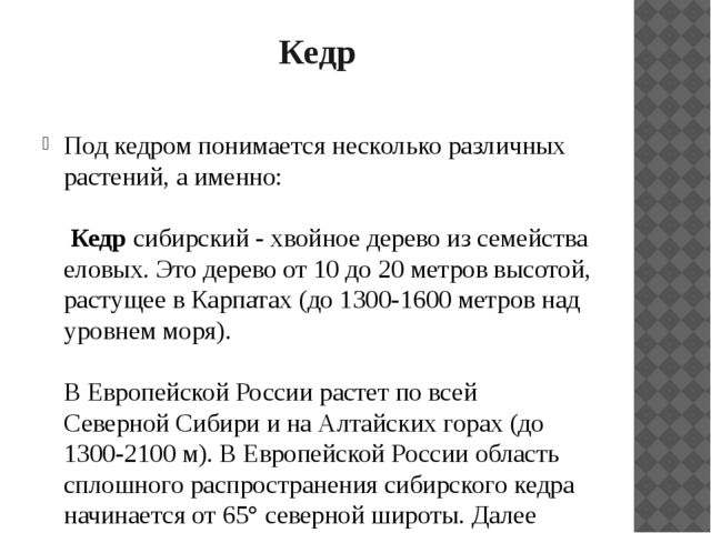 Презентация "Растительный мир Прибайкалья"