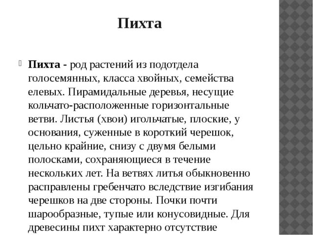 Презентация "Растительный мир Прибайкалья"